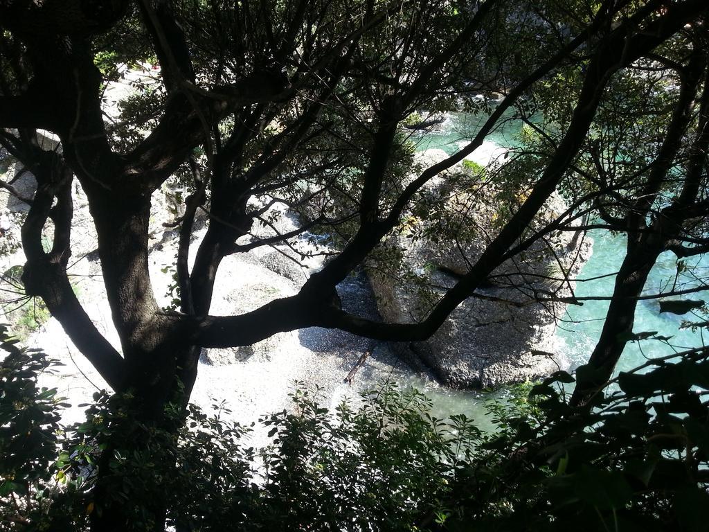 Civico 3 * Portofino